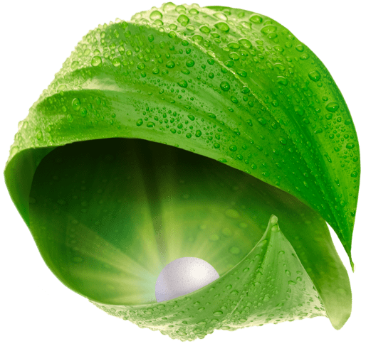 Crop Recommendation Program