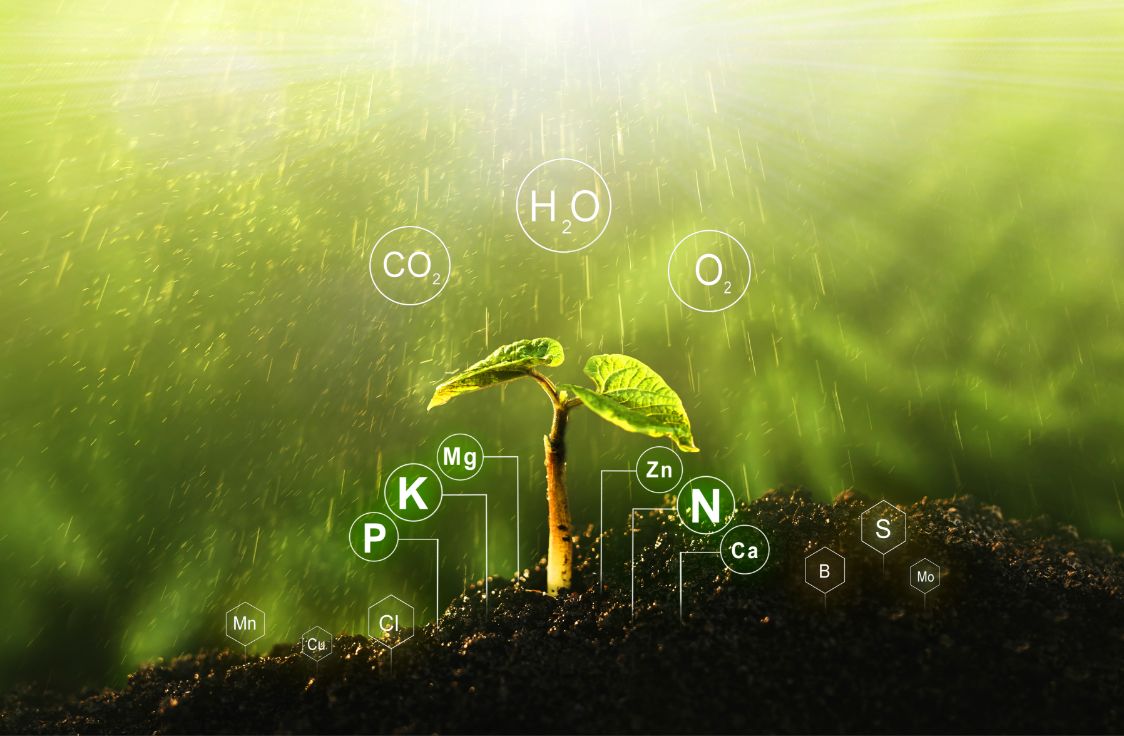 Υδρολίπανση