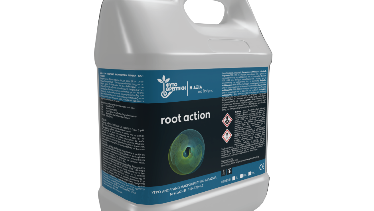 Root Action